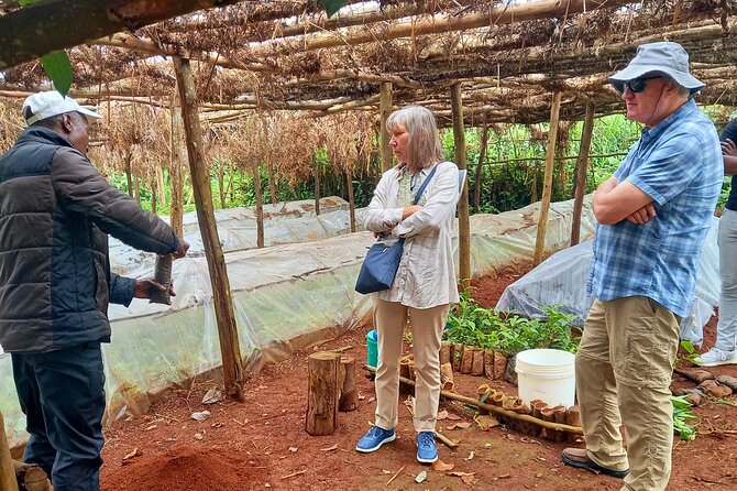 Riara tea farm tour with lunch and tea tasting from Nairobi - Leaving Nairobi for the tea country of Limuru