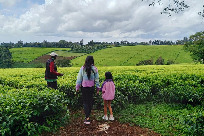 Riara tea farm tour with lunch and tea tasting from Nairobi - What the private format is worth at $150