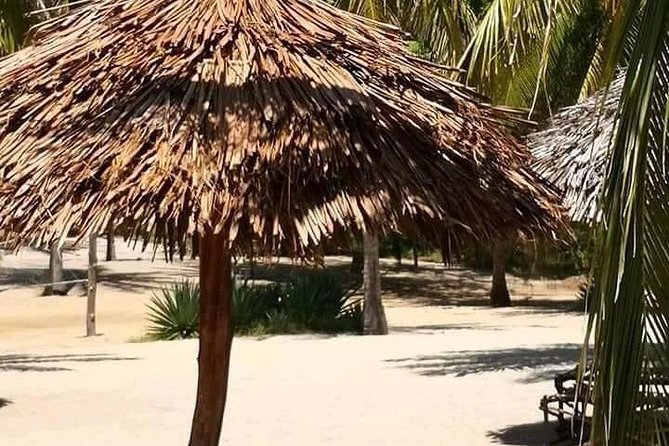 ROBINSON ISLAND/MARAFA HELL's KITCHEN - Who should book this outing?