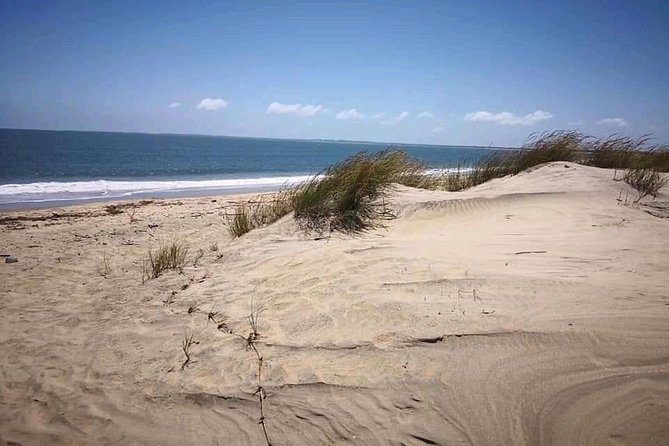 ROBINSON ISLAND/MARAFA HELL's KITCHEN - FAQ