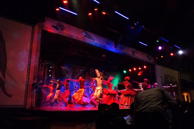 Safari Cat Dancers Show And Dinner - What to expect if you do not eat meat