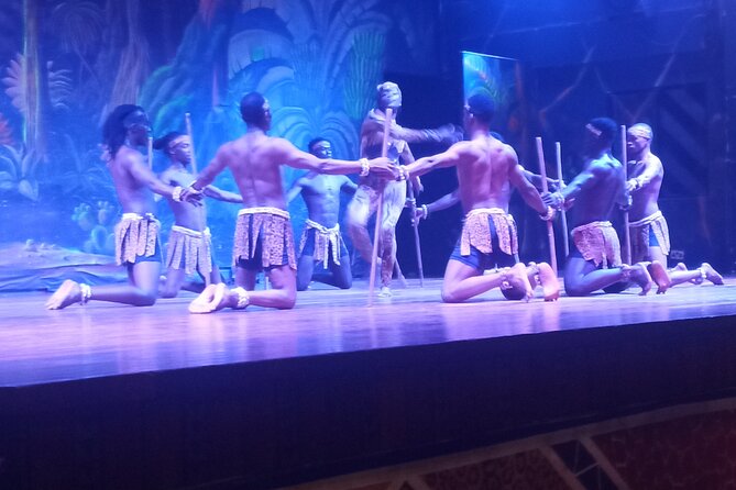 Safari Cat Dancers Show And Dinner - Is $99.75 a fair price?