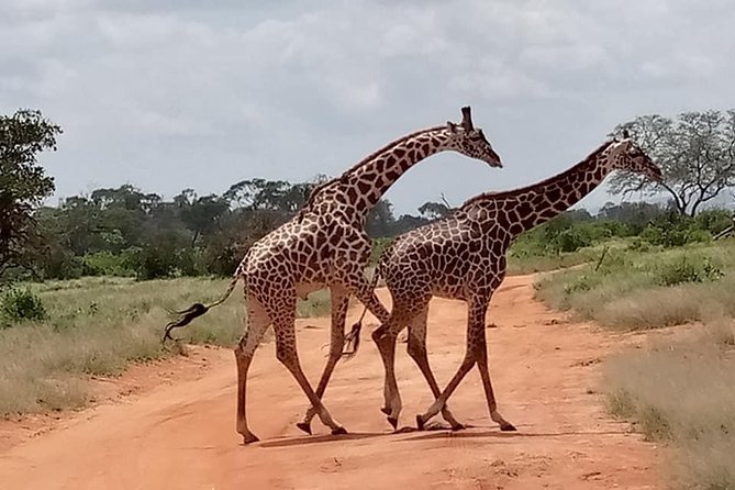 Safari Kenya with Patrick - The African cultural village visit