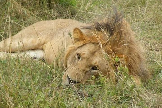 Safari Kenya with Patrick - Booking, cancellation, and weather details