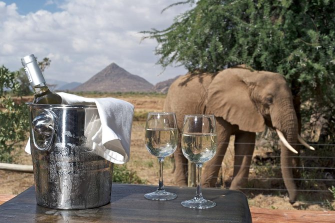 Samburu/ Aberdare/ Lake Nakuru/ Masai Mara 7 Days Safari - Day 5: Moving on to Maasai Mara