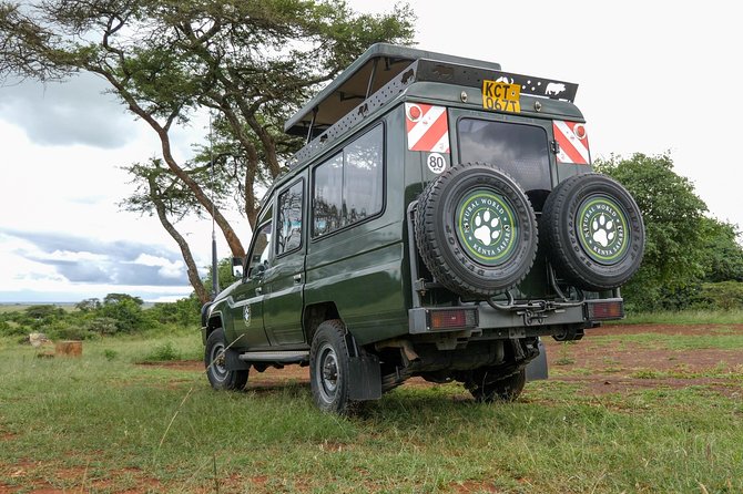 Samburu, Lake Nakuru & Masai Mara 6 Days Private 4x4 Jeep Safari - Day 3: Thompson Falls and Lake Nakuru’s rhino country