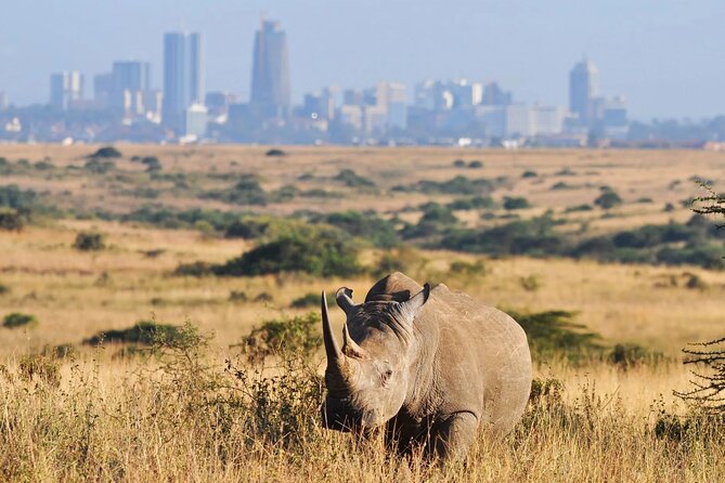 Shared Nairobi National Park Safari Tour - Key points at a glance