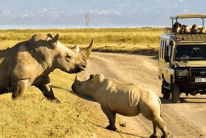 Shared Nairobi National Park Safari Tour - The open-sided Landcruiser 4x4 experience