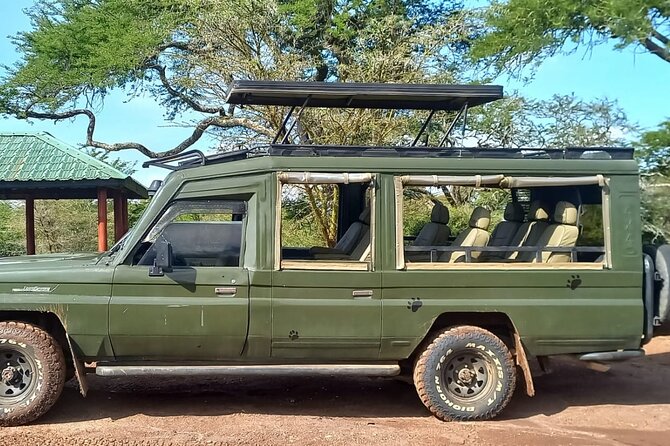 Shared Nairobi National Park Safari Tour - What the city skyline adds to the park