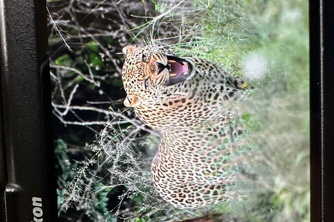 Shared Nairobi National Park Safari Tour - Who will get the most from this safari