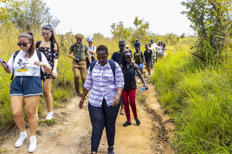 Shimba Hills Day Safari & Sheldrick Falls Hike Private Tour - Key points to know before booking