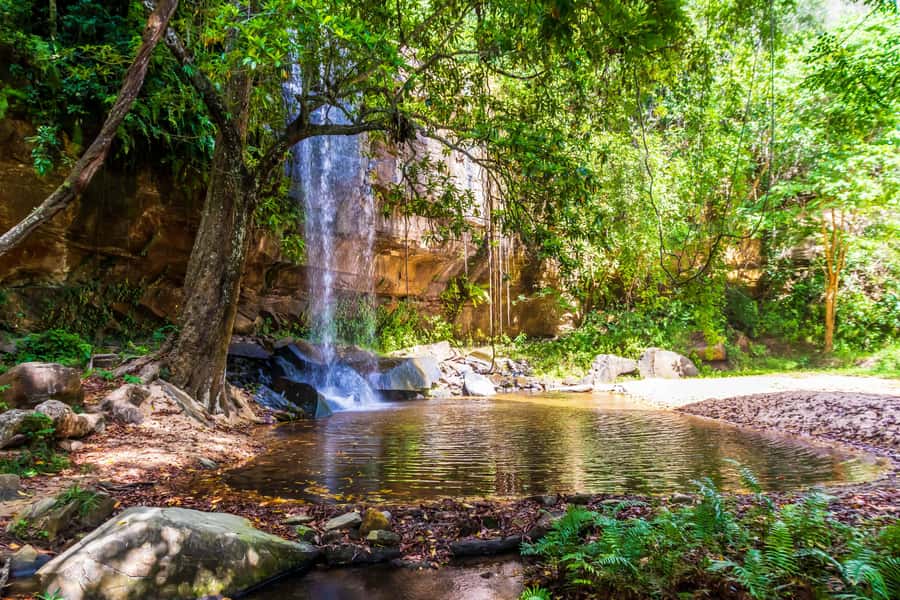Shimba Hills Day Safari & Sheldrick Falls Hike Private Tour - The first game drive through Shimba Hills