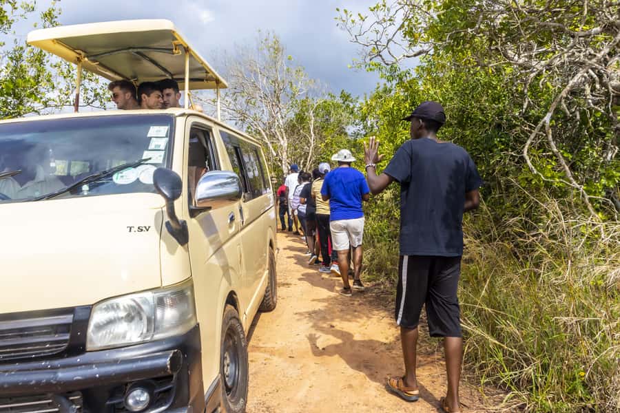 Shimba Hills Day Safari & Sheldrick Falls Hike Private Tour - How much safari time will you really get?