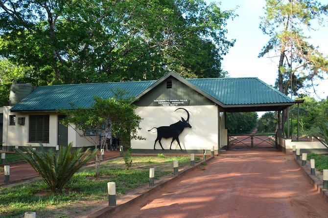 Shimba Hills Excursion - How the experience compares with a longer safari