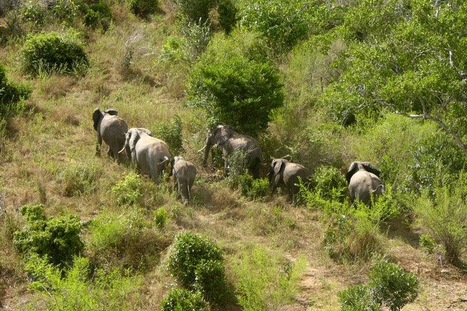 Shimba Hills Excursion - Practical details that affect your decision