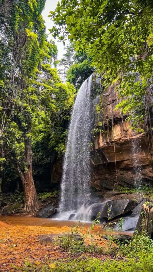Shimba Hills: Game Drive, Waterfall Hike, and Lunch - Key points at a glance