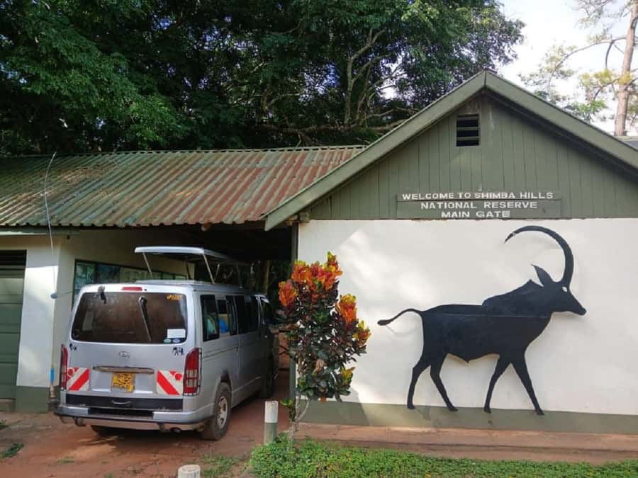 Shimba Hills: Game Drive, Waterfall Hike, and Lunch - The 2.5-kilometer walk to Sheldrick Falls