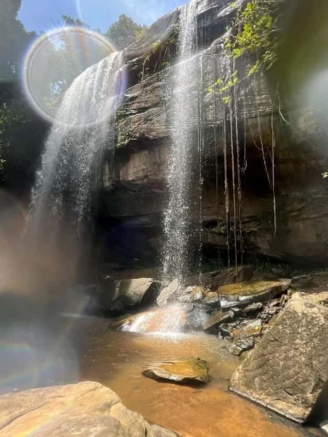 Shimba Hills: Game Drive, Waterfall Hike, and Lunch - The game drive through Shimba Hills