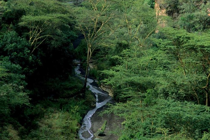 Small Group Budget Tour to Hells Gate National Park and Lake Naivasha Boat Ride - Who will enjoy this Hell’s Gate outing
