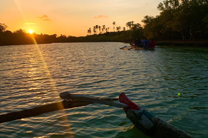 Sunset Canoe Tour on a River within the Mangroves - Who should choose this Diani experience
