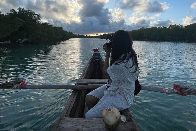 Sunset Canoe Tour on a River within the Mangroves - Practical details that can improve the ride