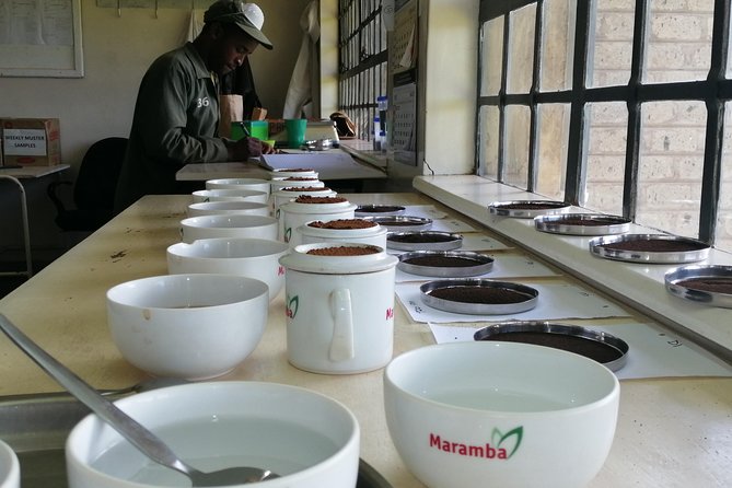 Tea Farm Experience at Riara Tea Farm And Factory Tour - Fresh tea and lunch at the farm