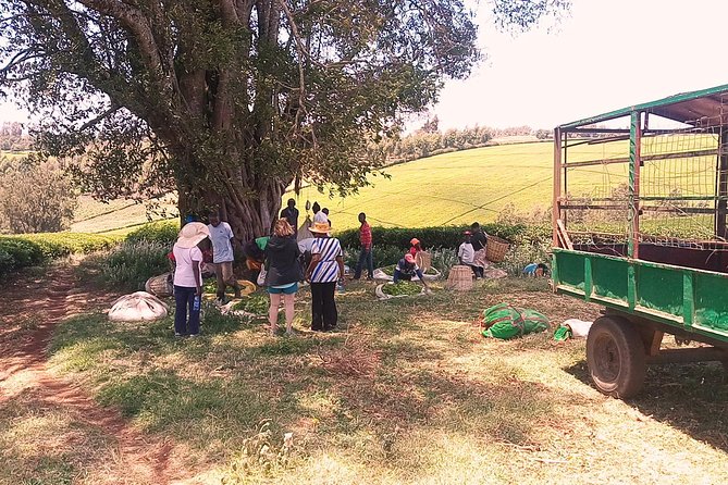 Tea Farm Experience at Riara Tea Farm And Factory Tour - Meeting the plantation owner and staff
