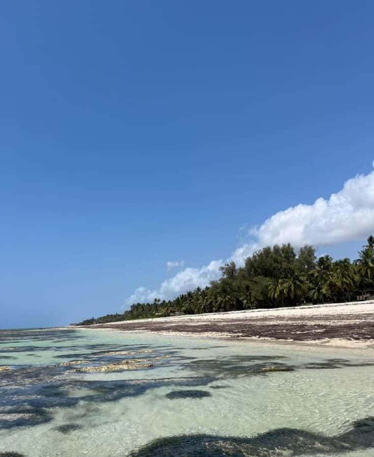 Tiwi Beach: Guided Tour to the African Pool - Walking the shore to the natural pools