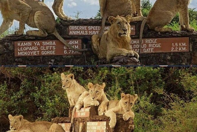 Tour Safari; Nairobi National Park - The optional Kobe Beads Factory stop