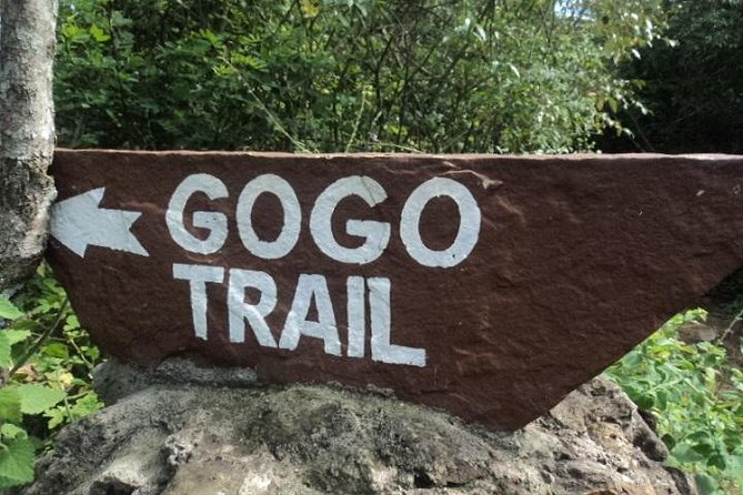 Tour to Giraffe Center from Nairobi - Keeping the Visit Comfortable and Focused