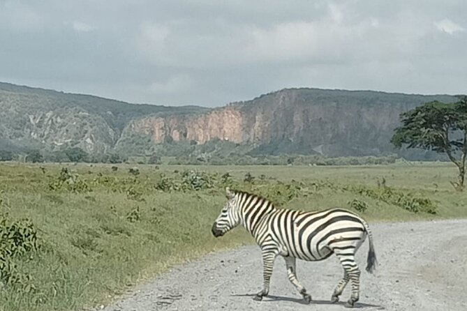 Tour to Hells Gate National park & L Naivasha boat ride - Cycling through Hell’s Gate National Park