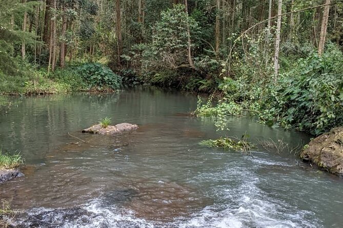 Trip from Nairobi to Muranga with Waterfall Hike and Picnic - Following the river on a moderate one-hour hike