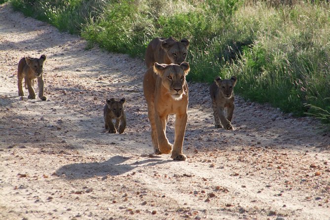 Tsavo East Amboseli and Tsavo West Safari 4 Days starting Malindi - Leaving Malindi at 6:00 a.m. for Tsavo East