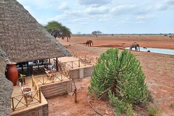 Tsavo East and Ngutuni Sanctuary Safari 3 days from Mombasa - Day 2: A full Tsavo East game drive