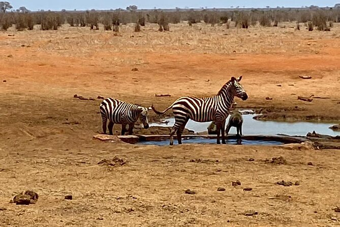 Tsavo East and Ngutuni Sanctuary Safari 3 days from Mombasa - Lugard’s Falls and the picnic lunch stop