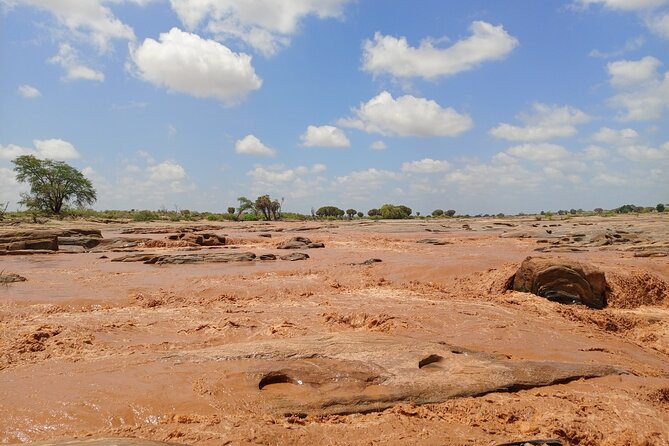 Tsavo East and Ngutuni Sanctuary Safari 3 days from Mombasa - Who should choose this safari?