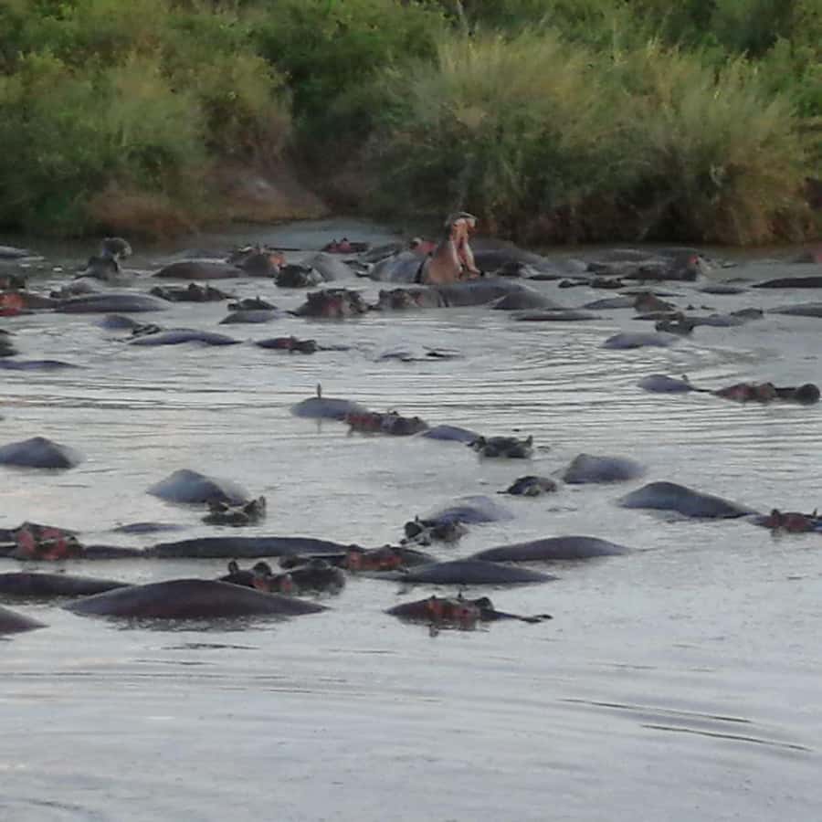 Tsavo East and Tsavo West Sanctuary Safari - Why this three-day route works