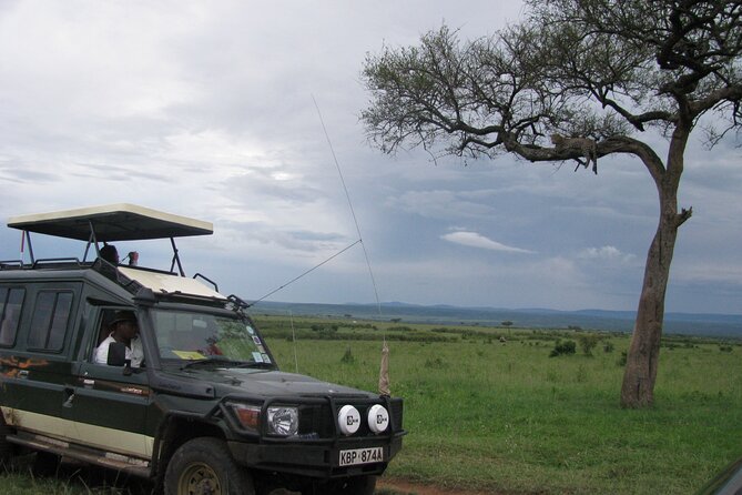 Ultimate 12 Days Private Safari Tour in Kenya and Tanzania - Day 4: Entering the Masai Mara