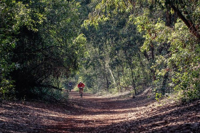 Urban Forest Tour in Nairobi - A city escape less than ten minutes from central Nairobi