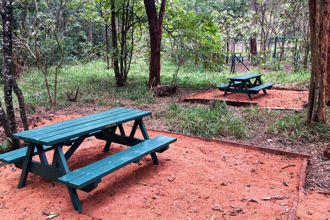Urban Forest Tour in Nairobi - What the walking route can include