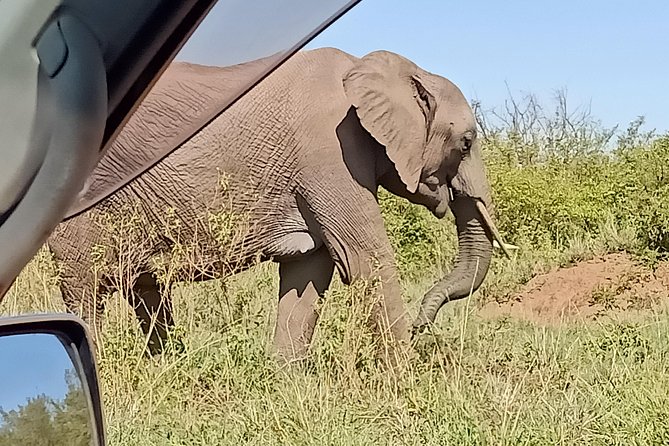 Vegans special safari - Day 5: Lake Naivasha by boat and on foot at Crescent Island