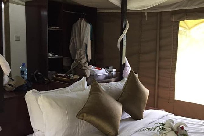 Vegans special safari - Days 7 and 8: Ol Pejeta and the cost of conservation