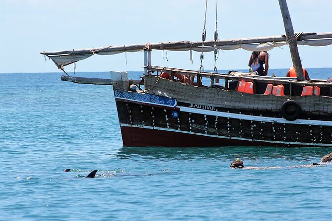 Wasini Dolphin Snorkeling - Who will get the most from this day?
