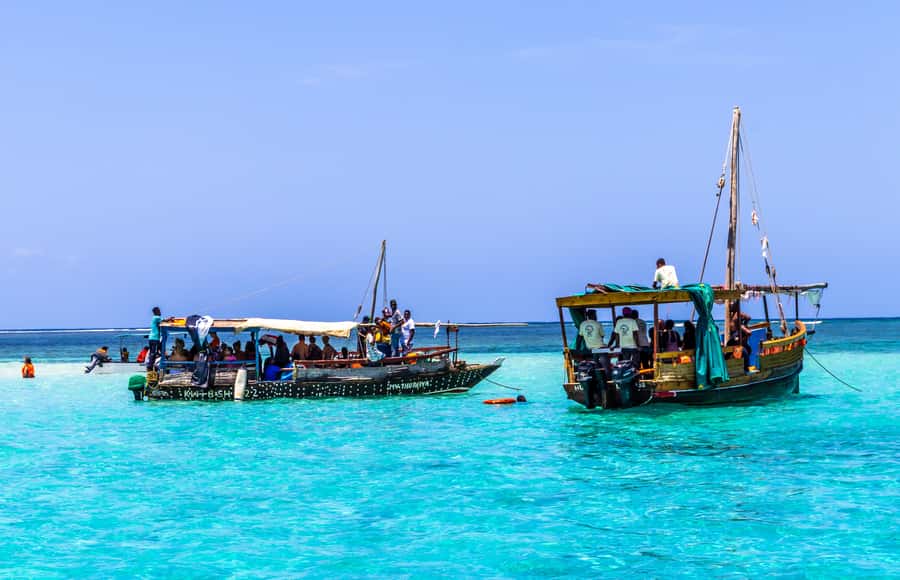 Wasini Island: Dolphin Spotting & Snorkel at Kisite Mpunguti - Key things to know before you book