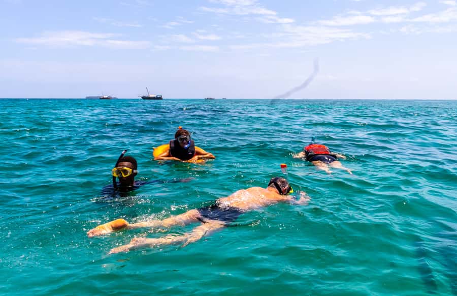 Wasini Island: Dolphin Spotting & Snorkel at Kisite Mpunguti - A full day from the mainland to Wasini Island