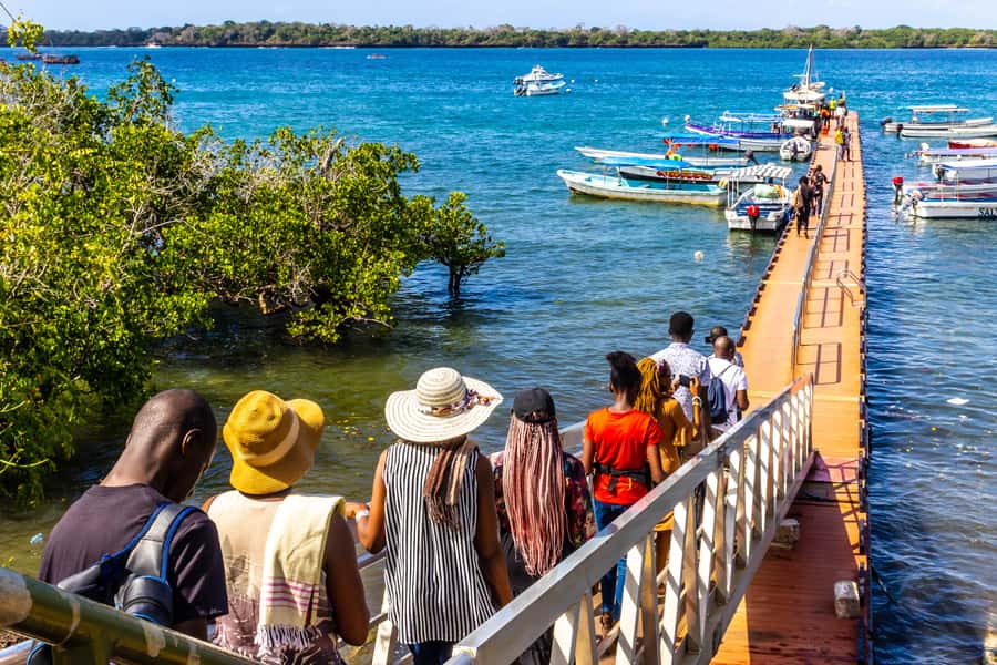 Wasini Island: Dolphin Spotting & Snorkel at Kisite Mpunguti - What the $130 price really covers