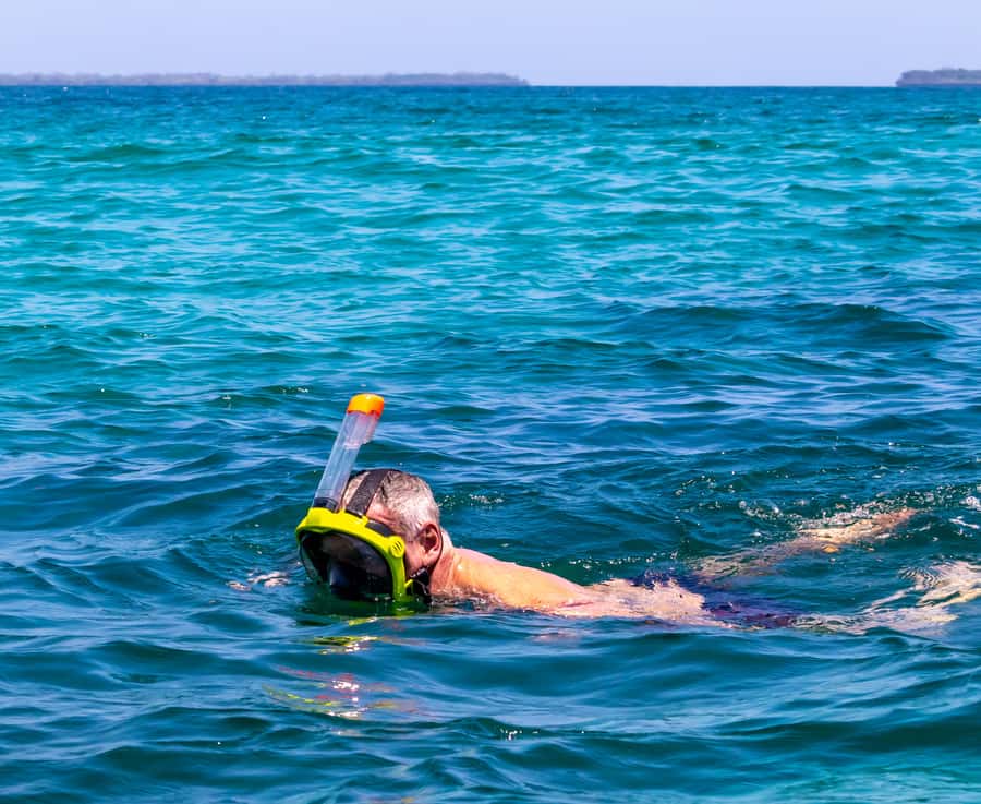 Wasini Island: Dolphin Spotting & Snorkel at Kisite Mpunguti - Practical advice for a smoother day