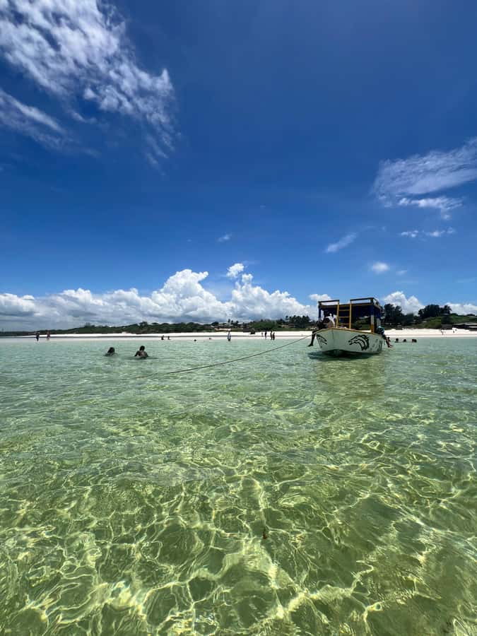 WATAMU: MALINDI: SARDEGNA ISLAND & MALINDI MARINE PARK - Key details before you book