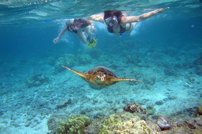 Watamu Marine Park & Sudi Island Mangrove Forest Canoe Ride.With sea food lunch - Leaving Mombasa for Watamu’s coast