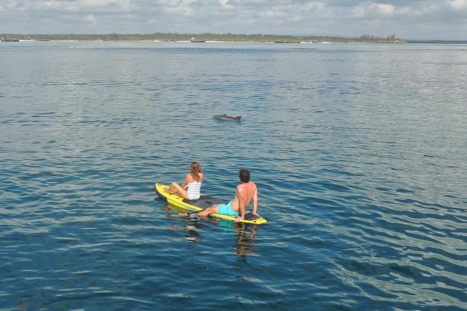 Watamu Marine Park & Sudi Island Mangrove Forest Canoe Ride.With sea food lunch - Snorkeling in the marine park